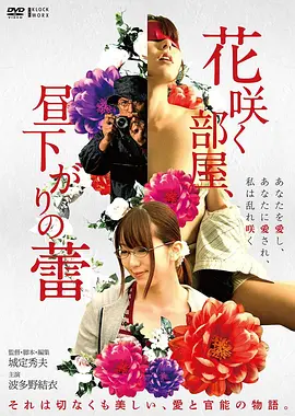 候鸟计划 高清电影手机免费在线观看